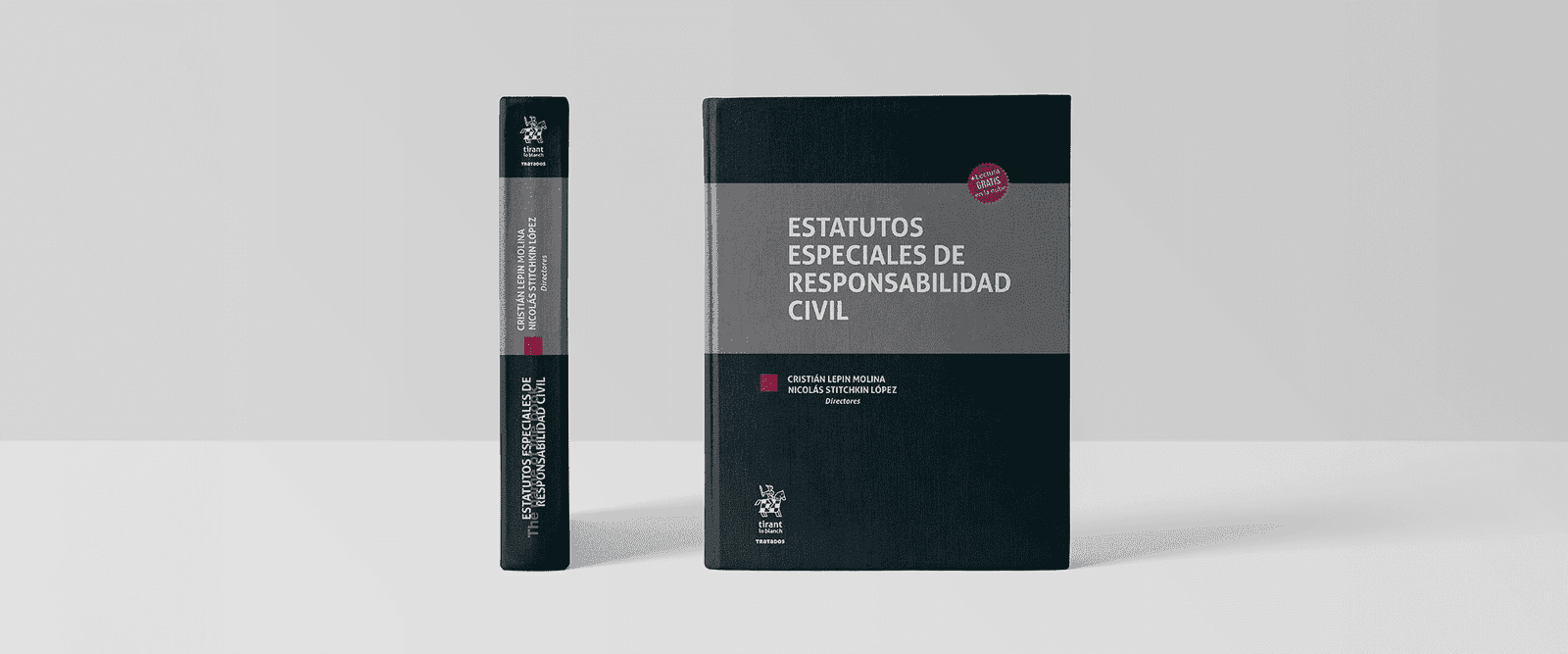 estatutos especiales de responsabilidad civil portada ancha
